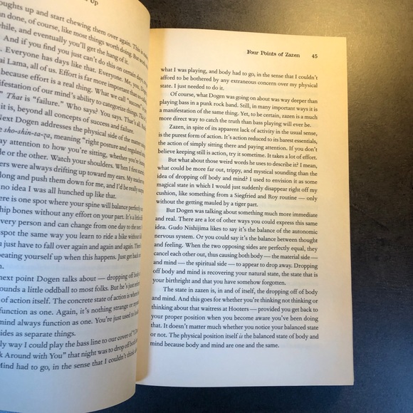 Buddhist Book - Picture 3 of 3